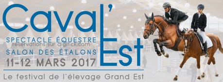 CAVAL'EST : Spectacle, Etalons