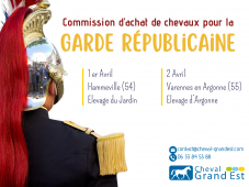Commission d'achat de chevaux pour la Garde Répub...