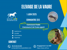 FOALS + 2 & 3 ANS PONEYS - LOCAL QUALIFICATIF - CO...