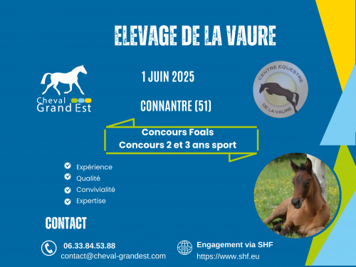 FOALS + 2 & 3 ANS PONEYS - LOCAL QUALIFICATIF...