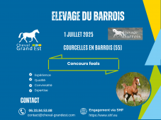 FOALS - LOCAL QUALIFICATIF - COURCELLES EN BARROIS...