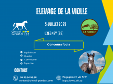 FOALS - LOCAL QUALIFICATIF - UXEGNEY
