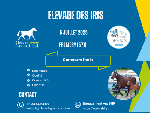 FOALS - LOCAL QUALIFICATIF - FREMERY