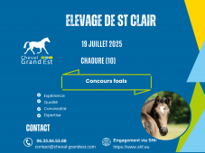 FOALS - LOCAL QUALIFICATIF - CHAOURCE