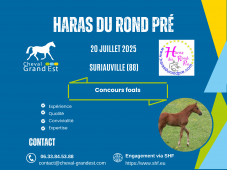 FOALS - LOCAL QUALIFICATIF - SURIAUVILLE