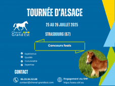 TOURNÉE DES FOALS - ALSACE - Strasbourg