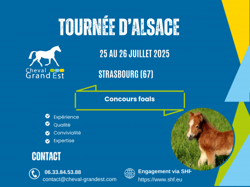 TOURNÉE DES FOALS - ALSACE - Strasbourg