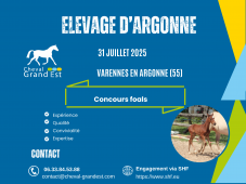 FOALS - LOCAL QUALIFICATIF - VARENNES EN ARGONNE