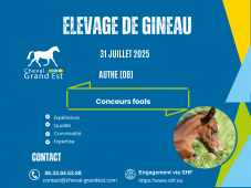 FOALS - LOCAL QUALIFICATIF - AUTHE