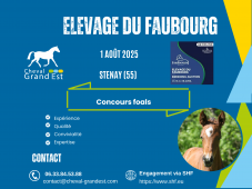 FOALS - LOCAL QUALIFICATIF - STENAY