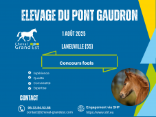 FOALS - LOCAL QUALIFICATIF - LANEUVILLE SUR MEUSE
