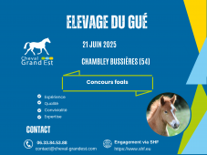 FOALS - LOCAL QUALIFICATIF - CHAMBLEY BUSSIÈRES