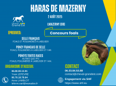 FOALS - LOCAL QUALIFICATIF - MAZERNY