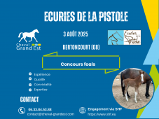 FOALS - LOCAL QUALIFICATIF - BERTONCOURT