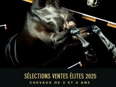 Sélection NASH