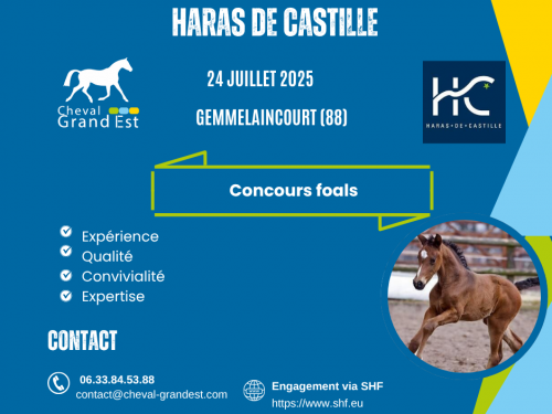 FOALS - LOCAL QUALIFICATIF - GEMMELAINCOURT