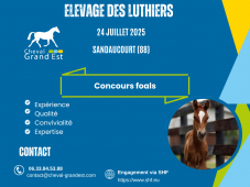 FOALS - LOCAL QUALIFICATIF - SANDAUCOURT