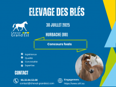 FOALS - LOCAL QUALIFICATIF - HURBACHE
