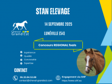 FOALS - REGIONAL NON QUALIFICATIF - Lunéville