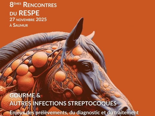 8ème rencontre du RESPE