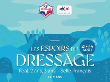 Les espoirs du Dressage SF