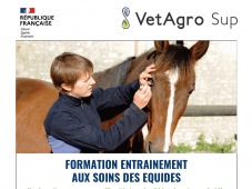 VetAgro Sup - FORMATION ENTRAINEMENT AUX SOINS DES...