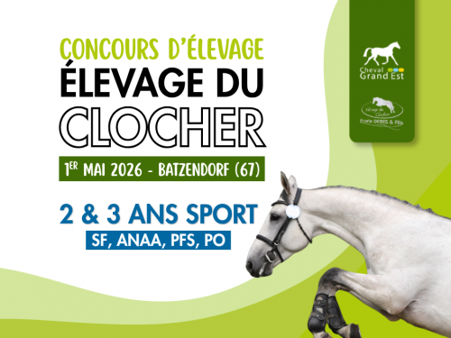Concours d'élevage - 2 & 3 ans sport