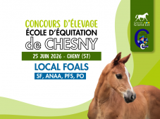 Concours d'élevage - Foals