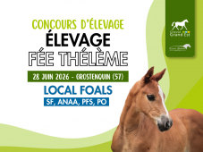 Concours d'élevage - Foals