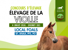 Concours d'élevage - Foals