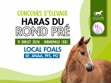 Concours d'élevage - Foals