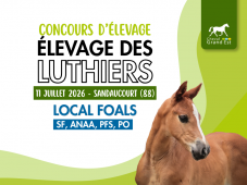 Concours d'élevage - Foals