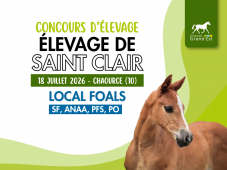 Concours d'élevage - Foals