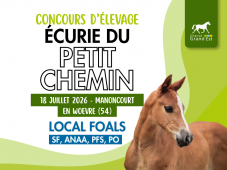 Concours d'élevage - Foals