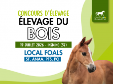 Concours d'élevage - Foals