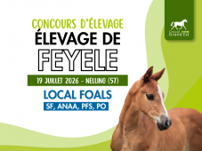 Concours d'élevage - Foals