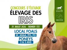 Concours d'élevage - Foals - 2 & 3 ans Poneys