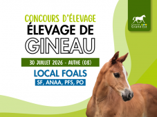 Concours d'élevage - Foals