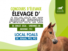 Concours d'élevage - Foals