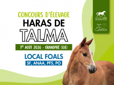 Concours d'élevage - Foals