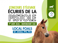 Concours d'élevage - Foals