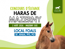 Concours d'élevage - Foals