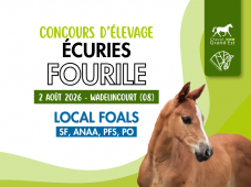 Concours d'élevage - Foals