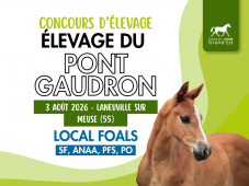 Concours d'élevage - Foals