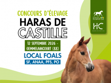 Concours d'élevage - Foals