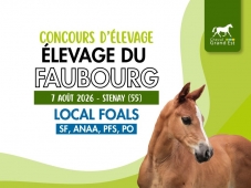 Concours d'élevage - Foals