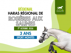Concours d'élevage - 3 ans sport montés