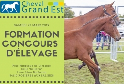 Formation - Concours d'élevage - Lorraine