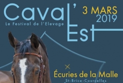Salon des étalons Caval'Est 2019, une réussite !
