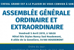Assemblée Générale Ordinaire et Extraordinaire